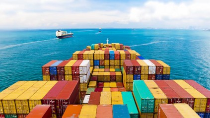 国际贸易中，海运的货物应如何进行报关和报检